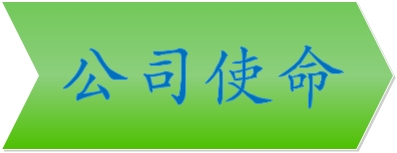 公司使命